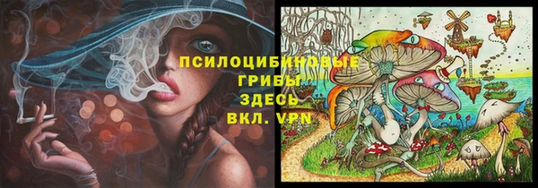 первитин Богородицк