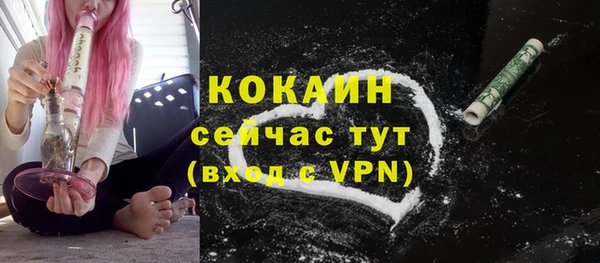 первитин Богородицк